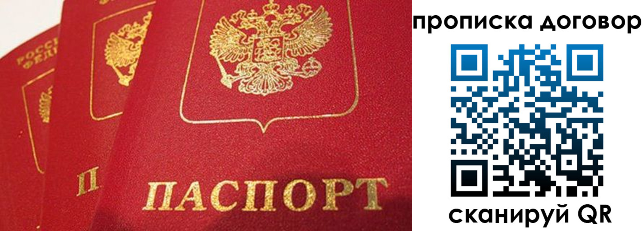 найти адрес прописки в Могочи
